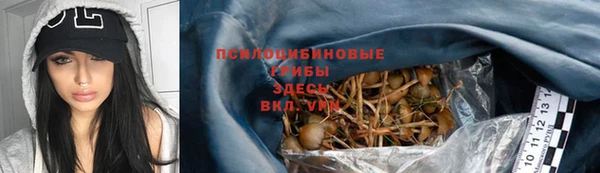 прущий лед Михайловск