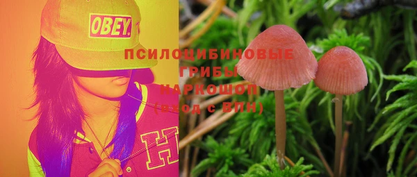 прущий лед Михайловск